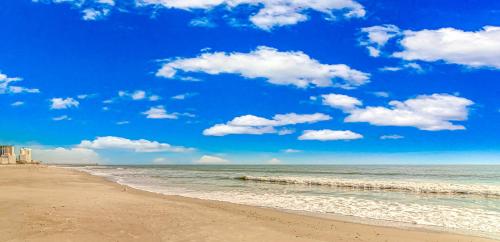 Sea Mist 51302 - photo 6