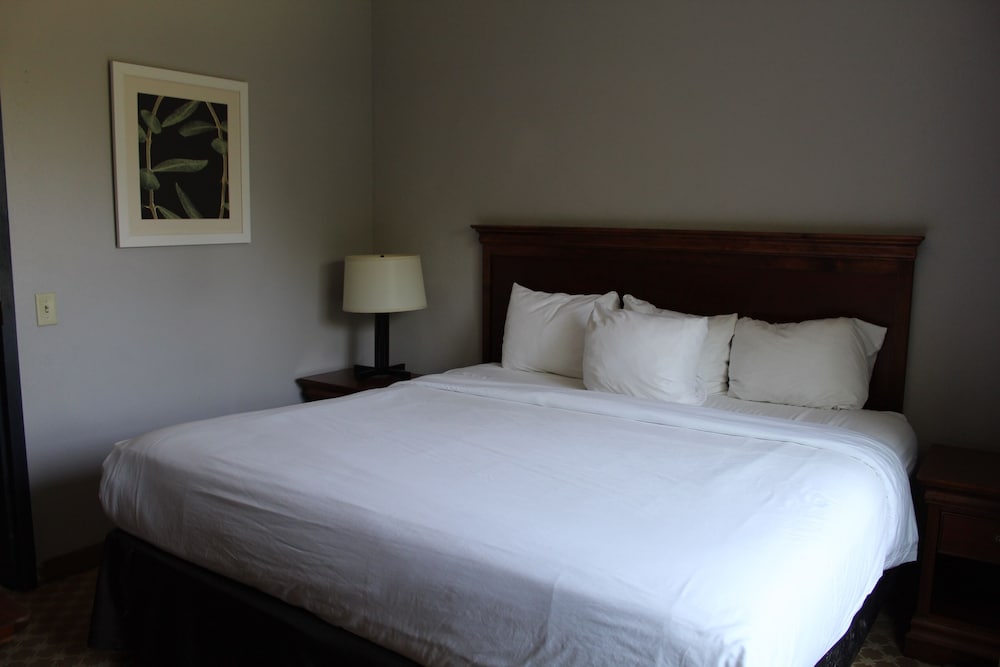 Country Inn & Suites by Radisson Gettysburg PA - photo 12