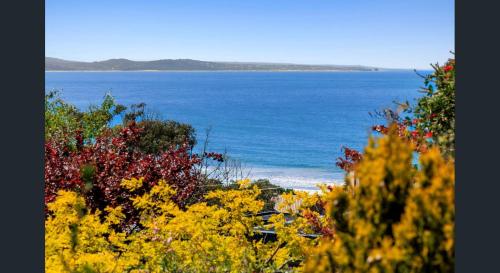 Fairview Central With A View in Lorne, Australia