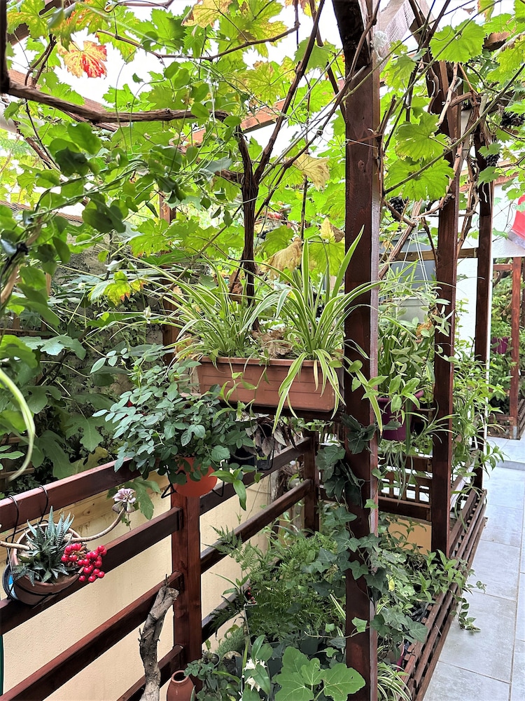 L'Oasis - carbon neutral hotel in Paris
