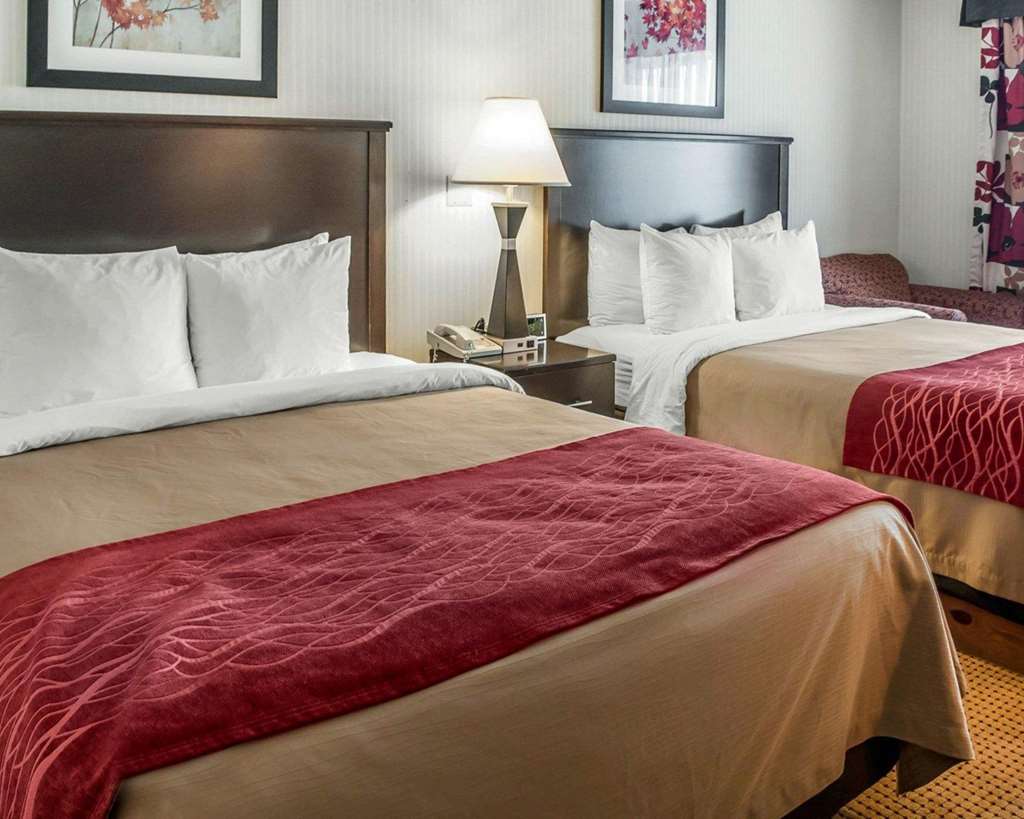 Quality Inn & Suites Farmington - photo 12