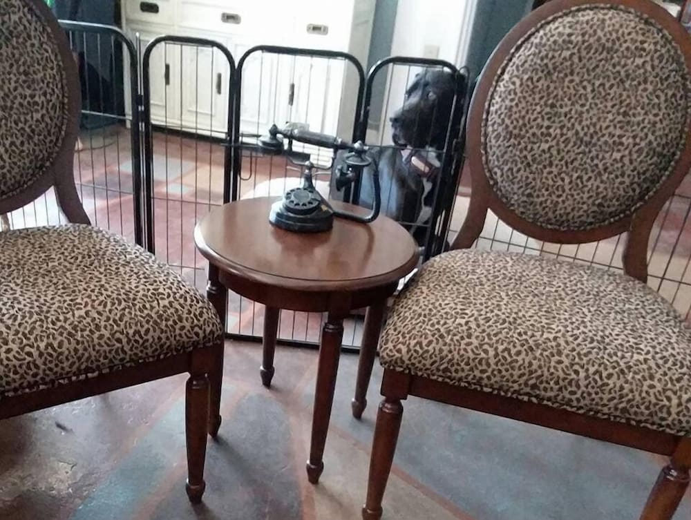 Cottonwood Hotel - photo 4