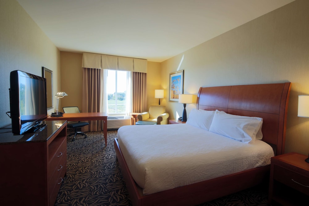 Hilton Garden Inn Cedar Falls - photo 19