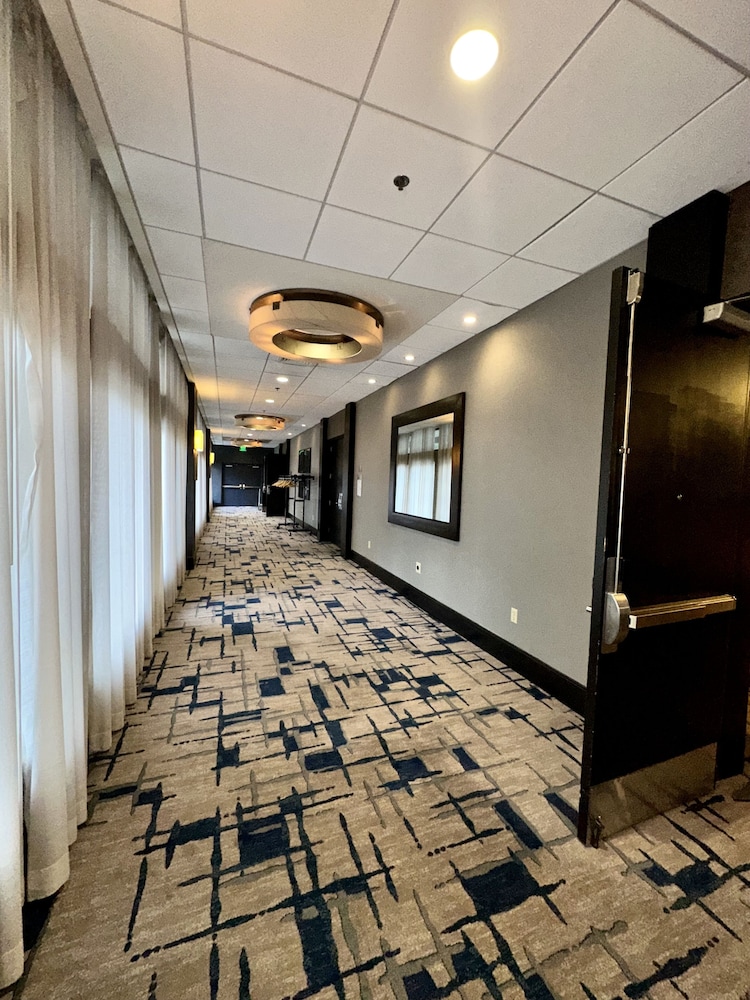 DoubleTree Hotel Baltimore BWI Airport - photo 5