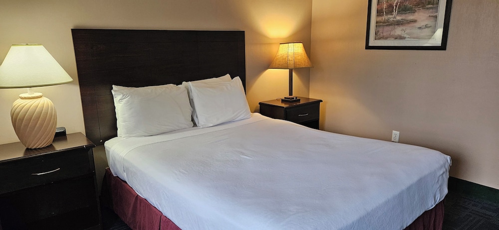 Bellis Inn - photo 15
