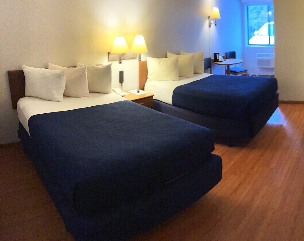 Village Inn on The Lake - photo 3