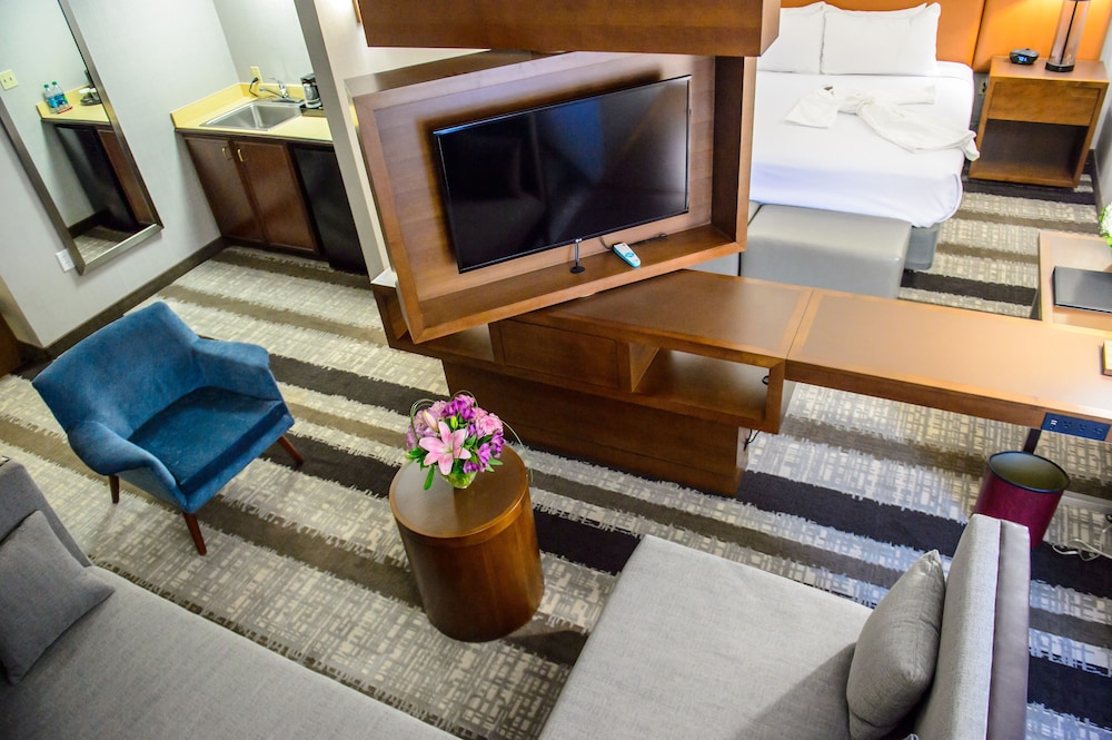 Crowne Plaza Dulles Airport by IHG - photo 14