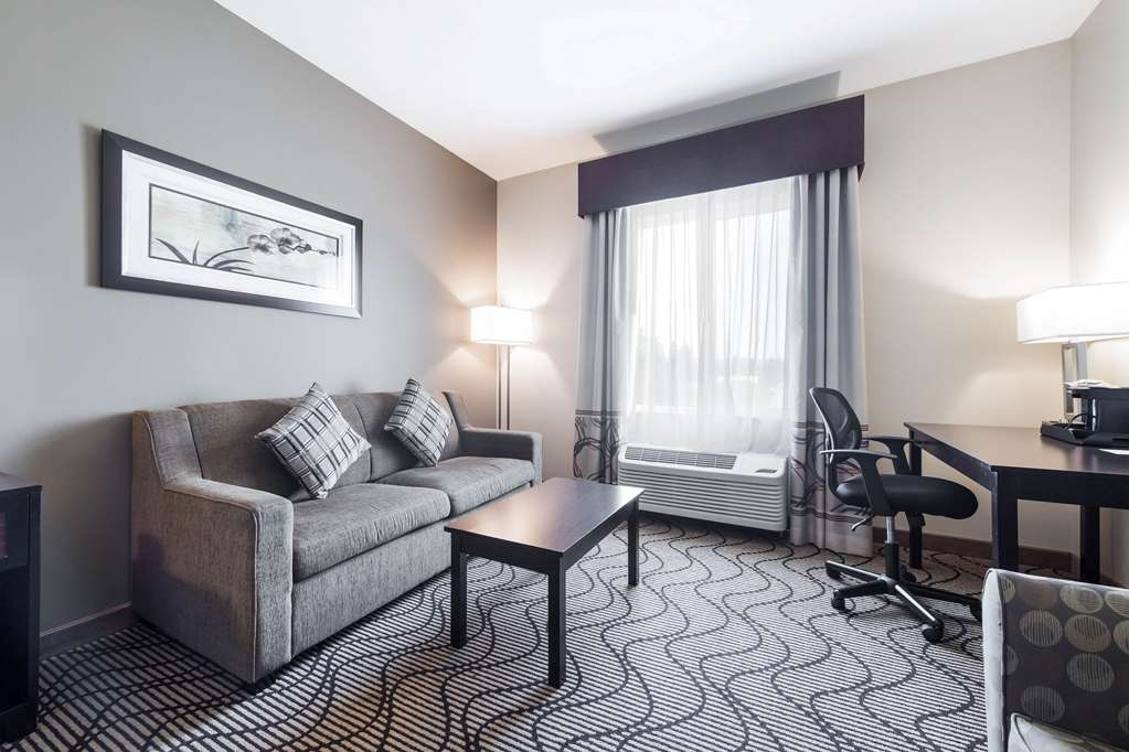 La Quinta Inn & Suites by Wyndham Auburn - photo 18