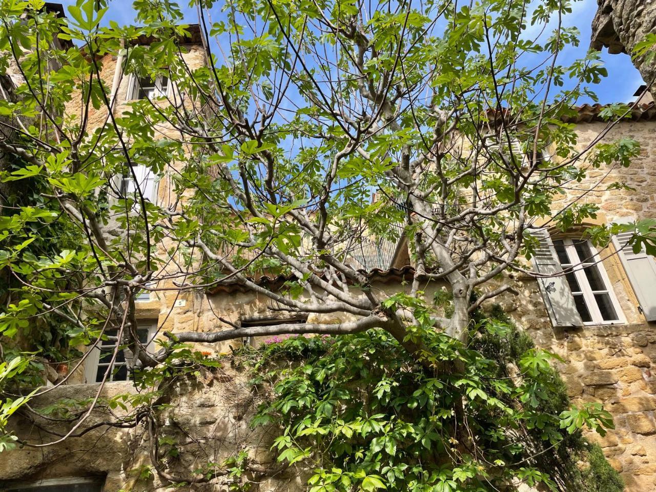 Le Petit Egregore Patio Et Climatisation — hotel in Lauris