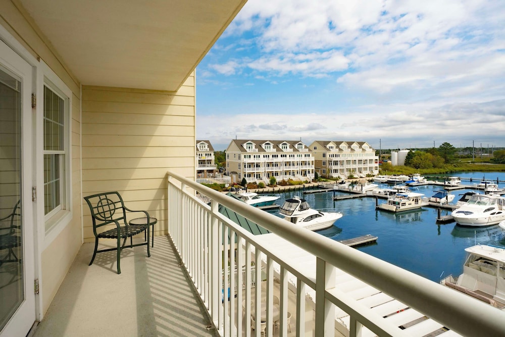 Hilton Garden Inn Kent Island Marina - photo 17