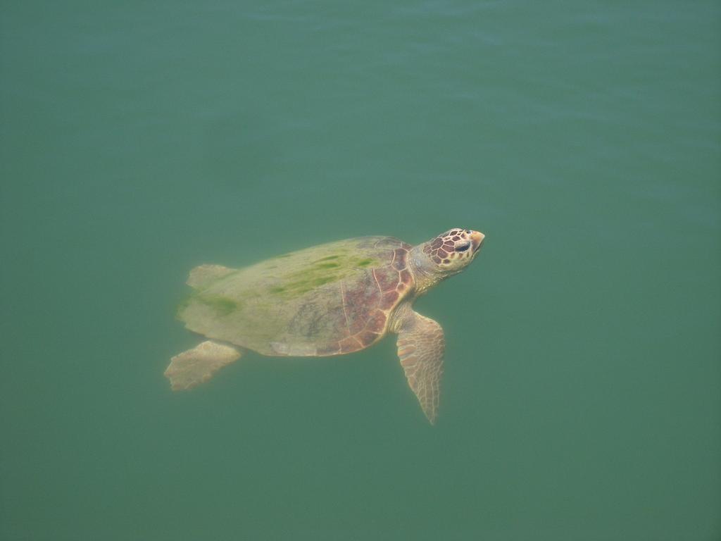 Onder Pansiyon in Dalyan, Turkey