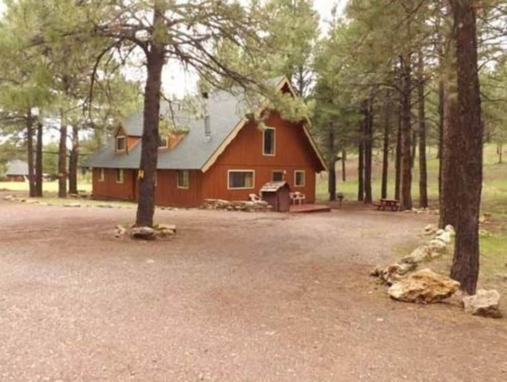 Arizona Mountain Inn and Cabins - photo 96