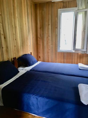 Houses in Gonio Kvariati economy class