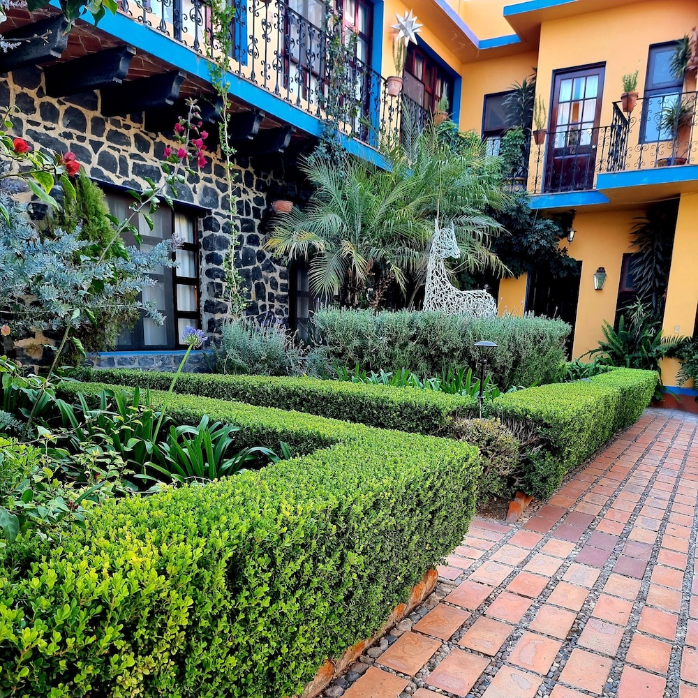 Garden view