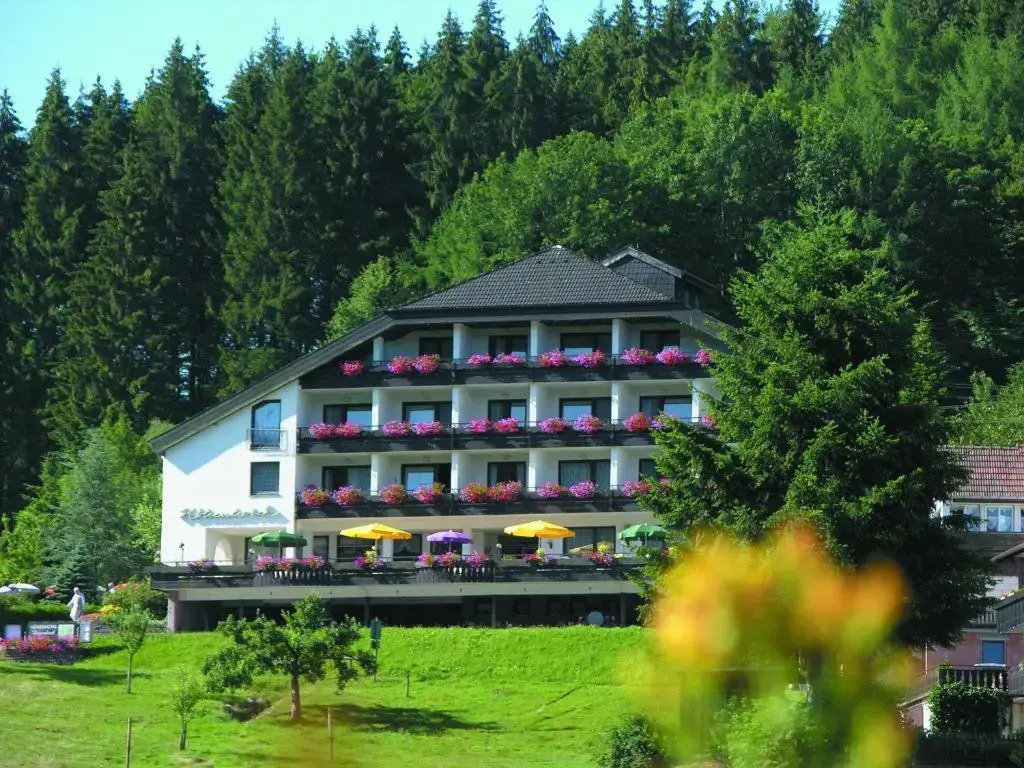 Pfeifles Hohenhotel — Baiersbronn