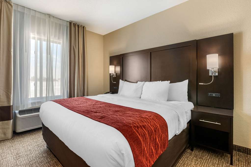 Comfort Inn & Suites Cedar Rapids CID Eastern Iowa Airport - photo 31