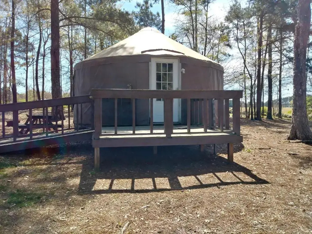 Pine Mountain RV Resort - photo 16