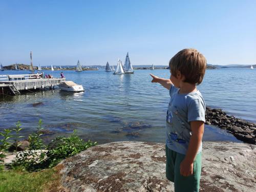Cabin at the sea close to public beach with a jumpingtower — 4-Star Luxury Hotel in Hoeviksnaes, Sweden