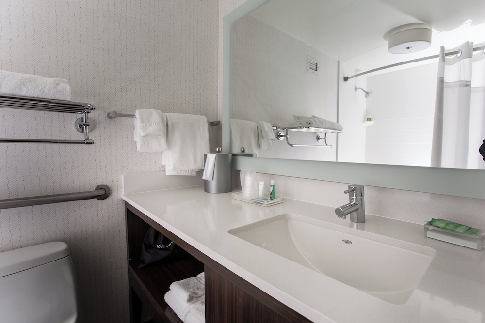 Holiday Inn Grand Rapids Downtown by IHG - photo 39