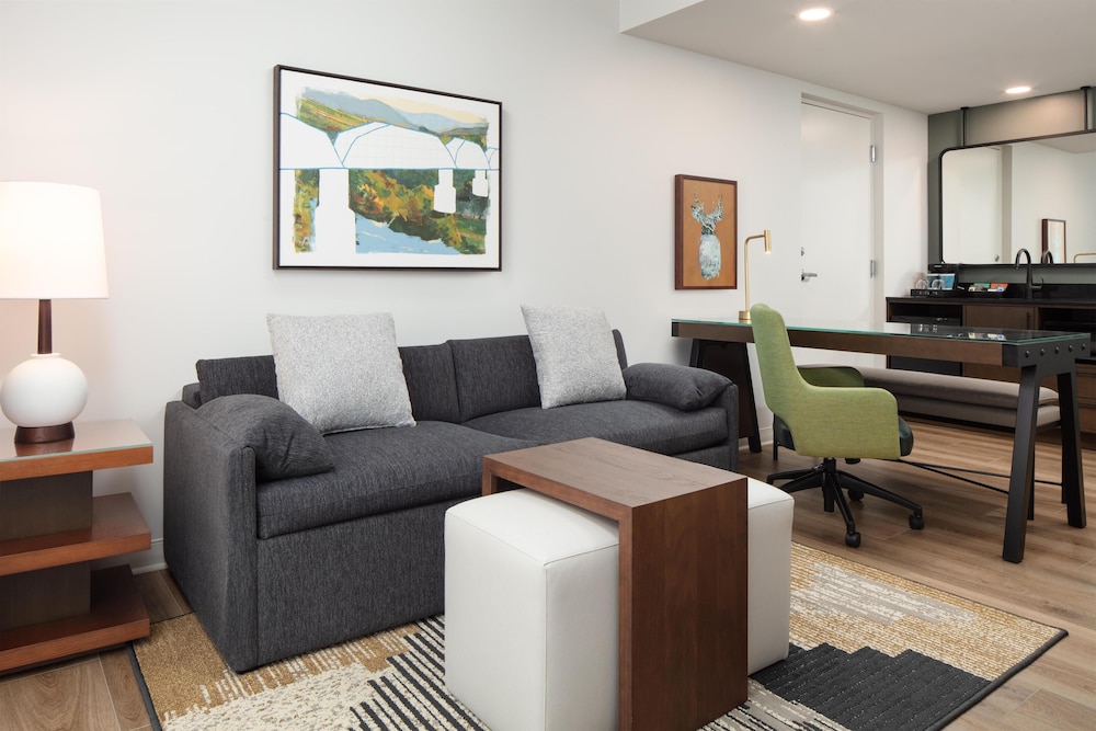 Embassy Suites By Hilton Chattanooga Downtown - photo 30