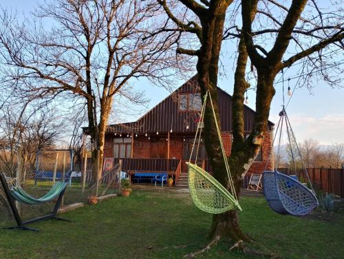 Myudro Agaraki in Unknown City, Georgia