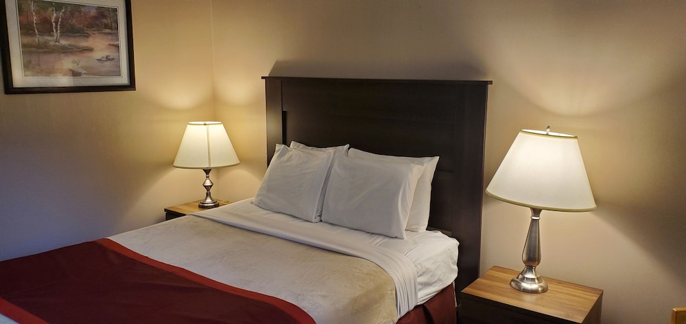 Bellis Inn - photo 10