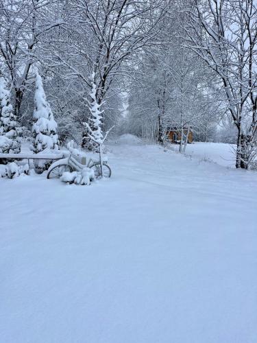 Top3 in Zarnesti, Romania