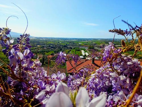 Le Chat Libre Alloggio Turistico pet-friendly hotel Monte San Biagio