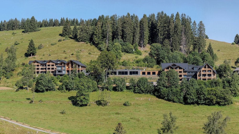Black Forest Lodge — 4-Star Luxury Hotel in Feldberg, Germany