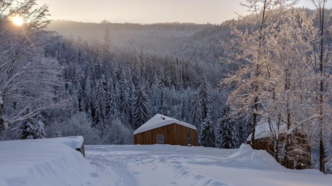 Widokownia Brenna in Brenna, Poland