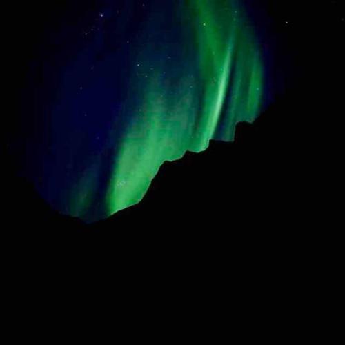 Rural life on the rough coastline of Senja — Skaland — photo 3