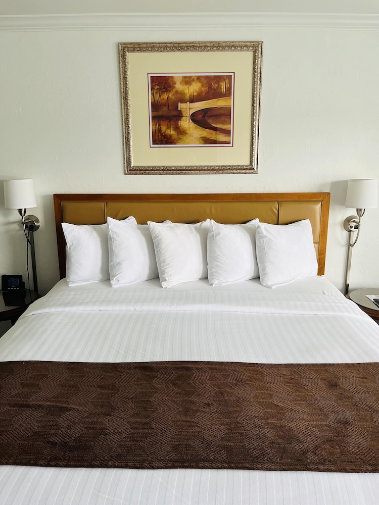 The Pines Country Inn — hotel in Owosso