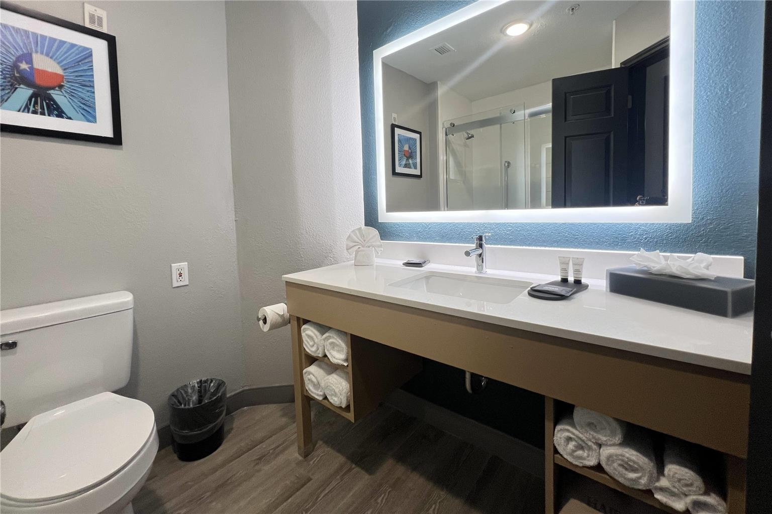 La Quinta Inn & Suites by Wyndham Dallas Arlington South - photo 15