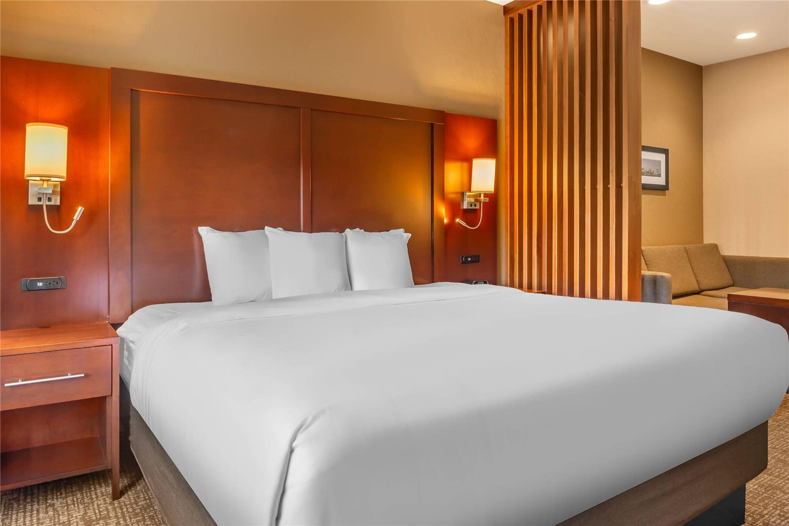 Comfort Suites Florence Cincinnati South - photo 22