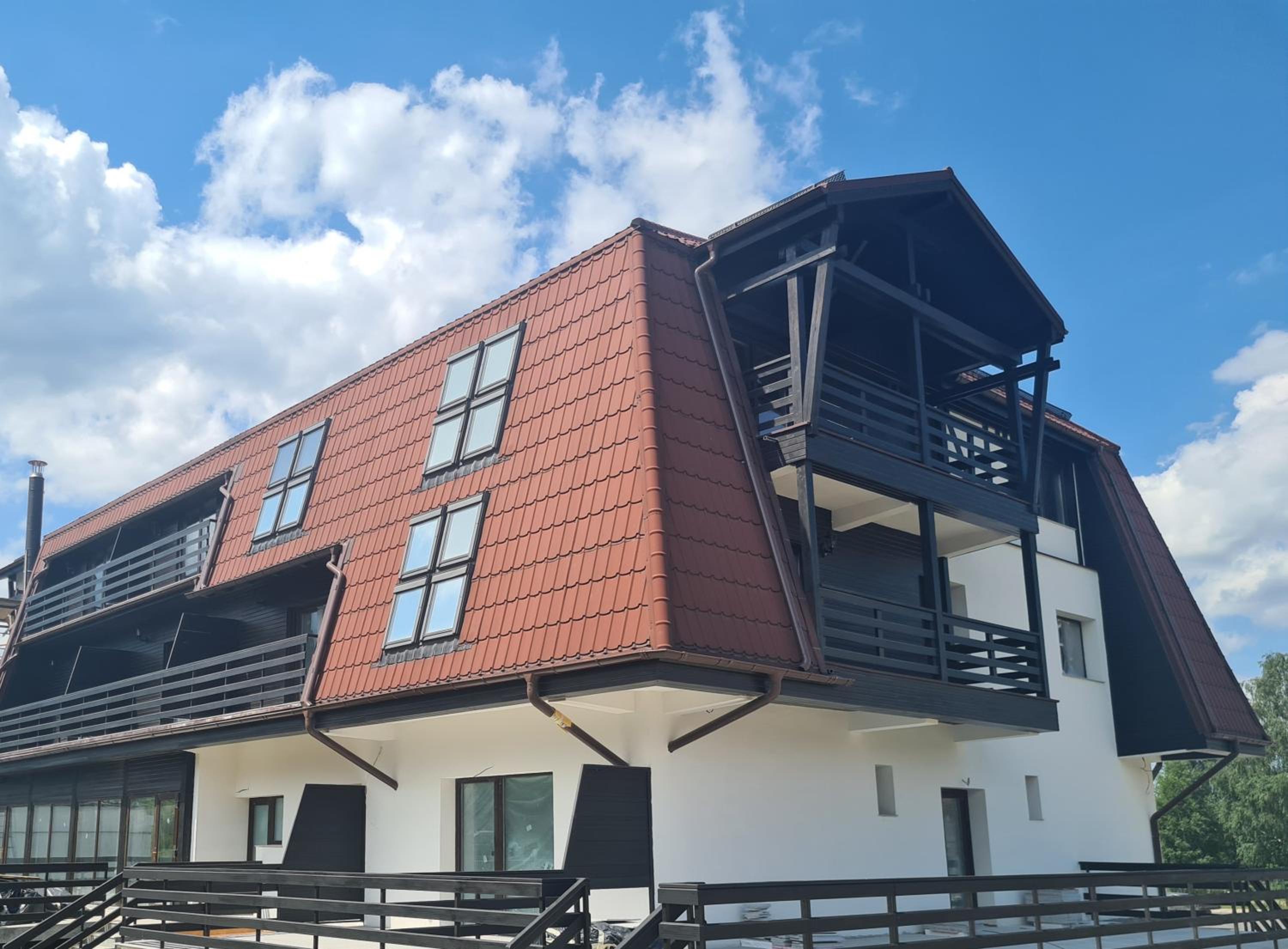 Wolf 1 in Bran, Romania