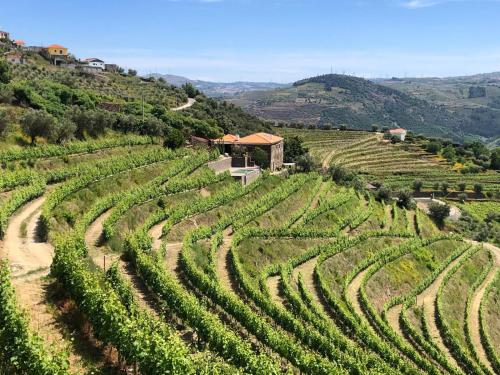 Quinta do Barrocal Casa de Campo — 4-Star Luxury Hotel in Peso Da Regua, Portugal