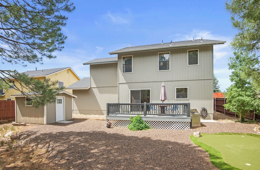 Cattle in Flagstaff, United States