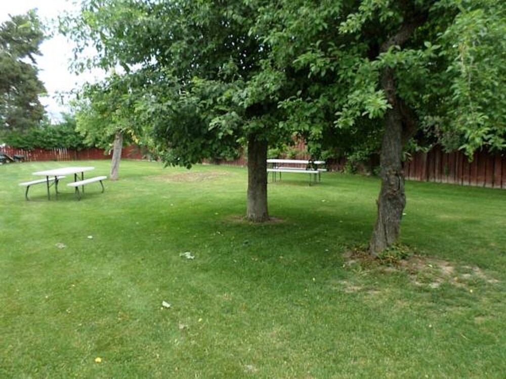 Sandman Motel - photo 12