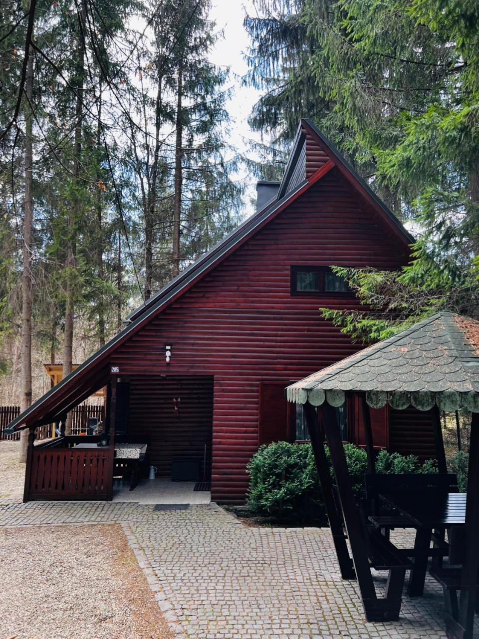 Cabana Adrienne — hotel in Toplita