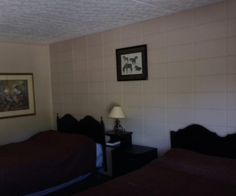 The Resort - photo 11