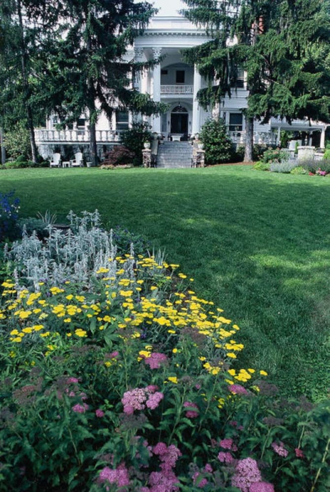 Albemarle Inn - photo 143