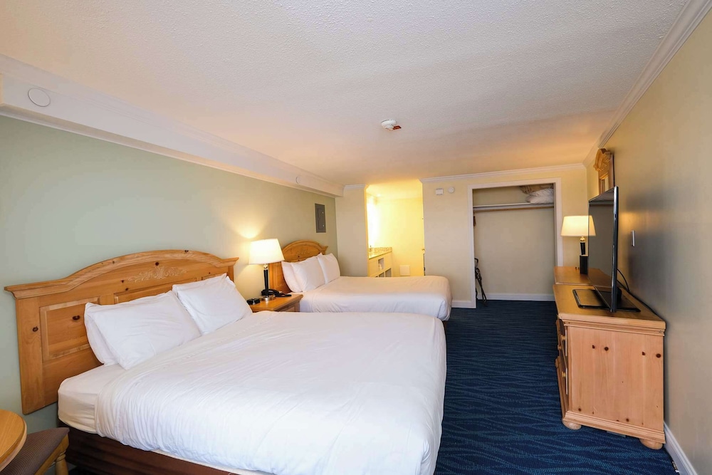 Norseman Resort on the Beach - photo 17