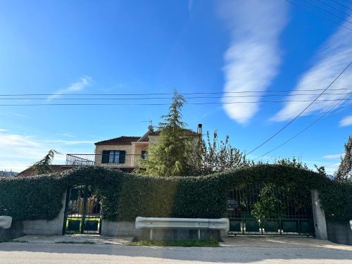 Orange Lemon Garden — Arta — photo 3