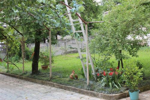 Guest house Maspindzeli