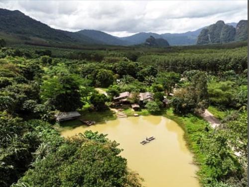 Khao Sok Homestay Resort in Phanom, Thailand