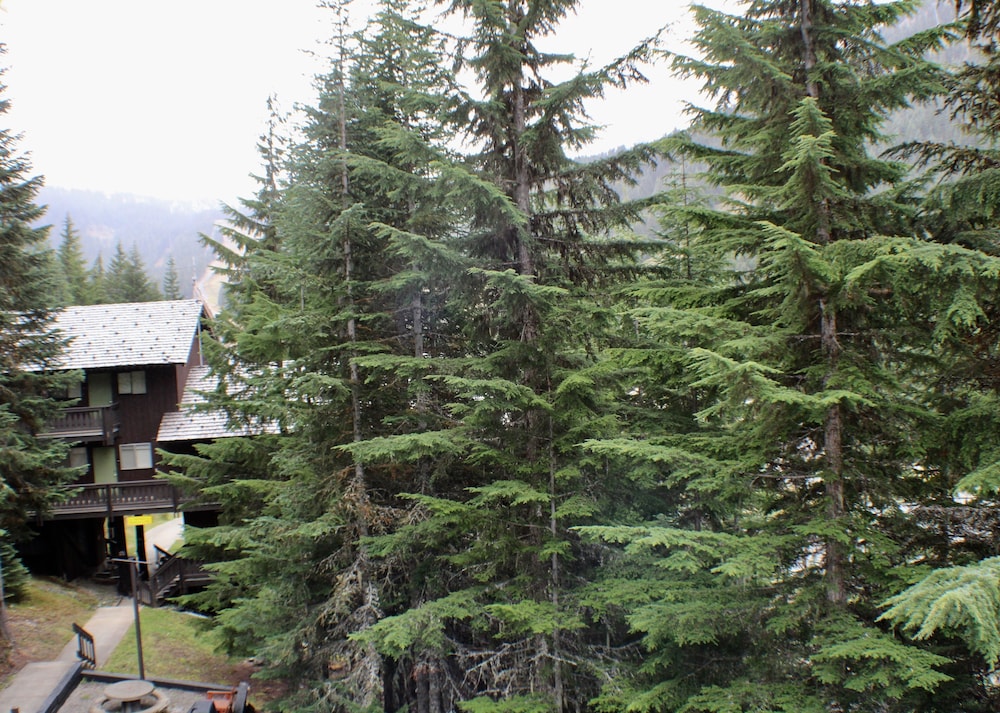 Crystal Chalets Condominiums at Crystal Mountain Ski Resort - photo 178