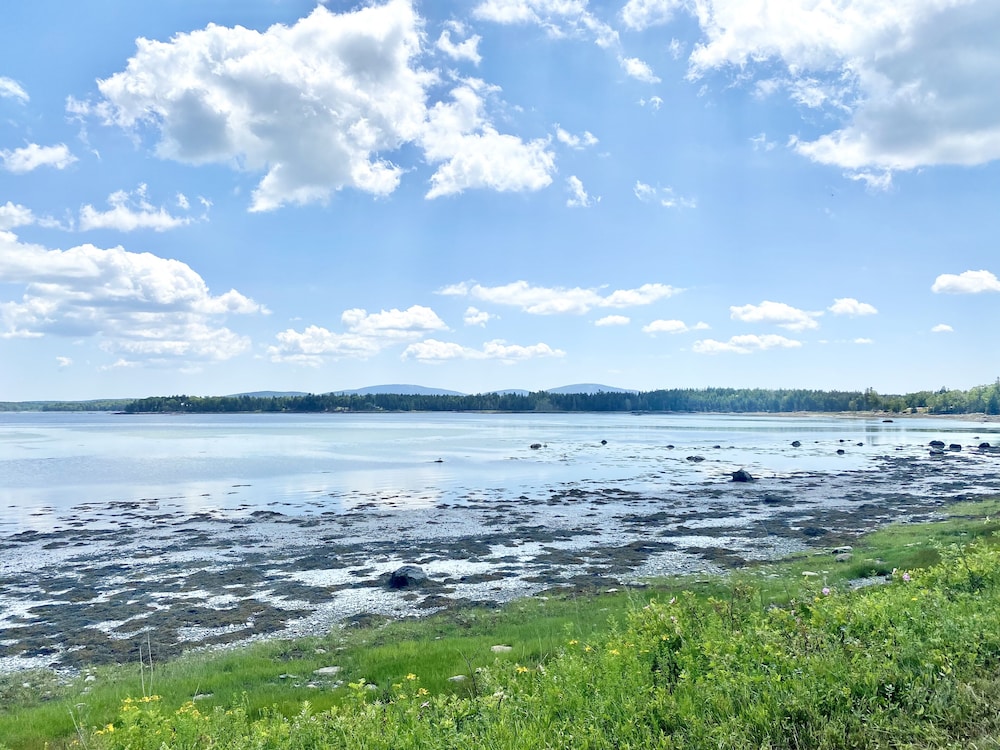 Island View Hotel Bar Harbor - photo 38