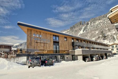 Residenz Wildkogelbahnen Top 9 — 4-Star Luxury Hotel in Neukirchen Am Grossvenediger, Austria