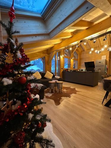 La Rose Des Neiges a Chatel in Chatel, France