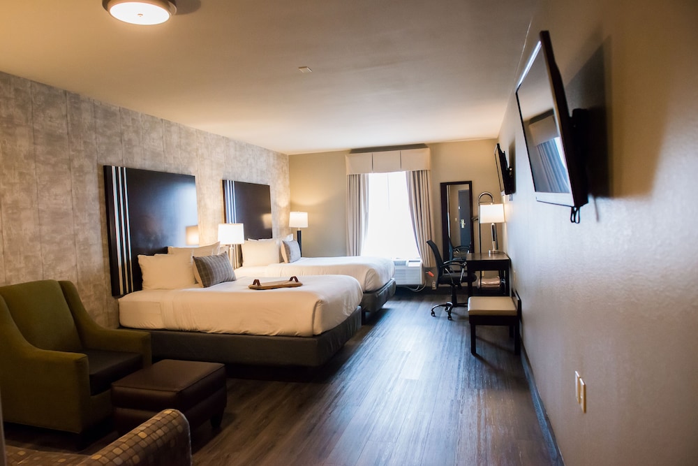 Distill Inn - photo 39